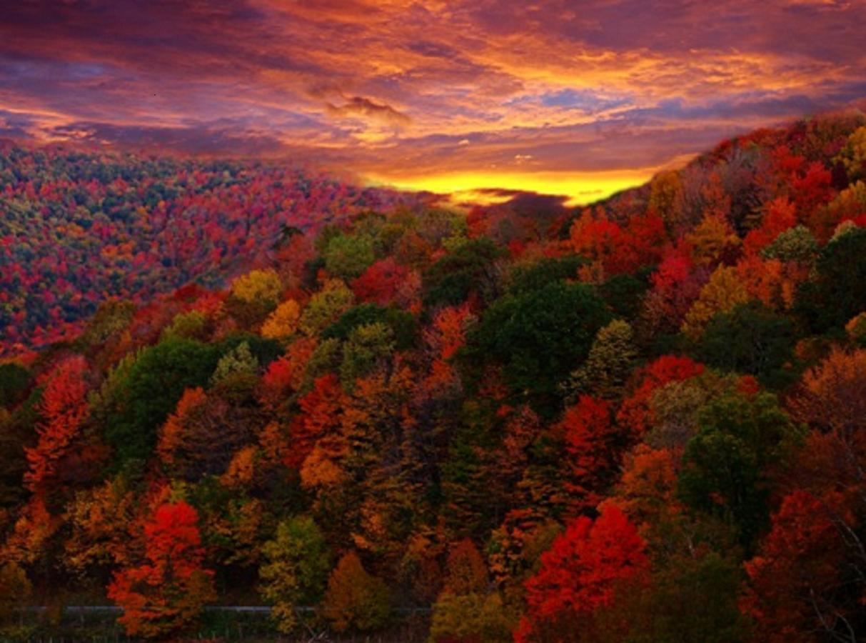 Buffalo Creek Bed And Breakfast Robbinsville Bagian luar foto