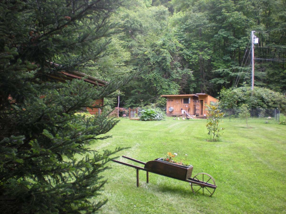 Buffalo Creek Bed And Breakfast Robbinsville Bagian luar foto